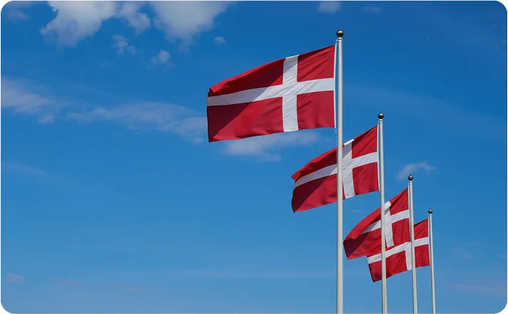 Umzug Dänemark flags